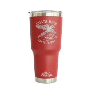 Freedom Takes Flight