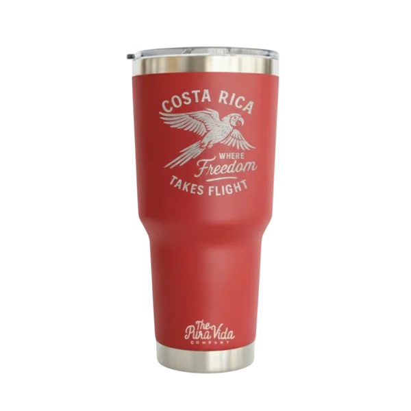 Freedom Takes Flight