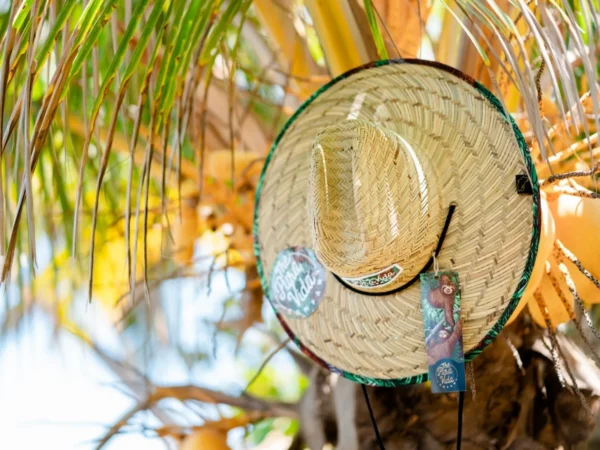 Untitled-4 (3) Amapola